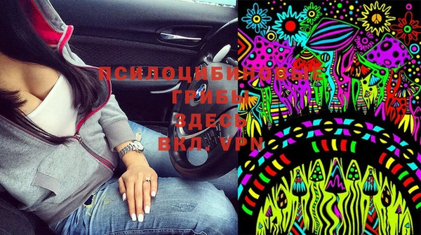гидра Верея