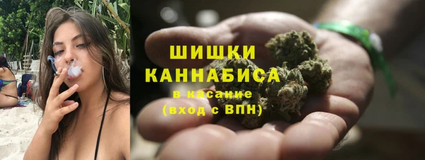 гидра Верея