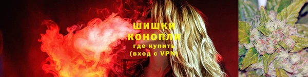 дживик Верхний Тагил