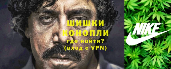 гидра Верея