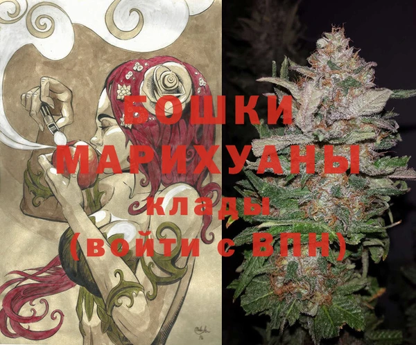 дживик Верхний Тагил