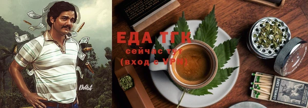дживик Верхний Тагил