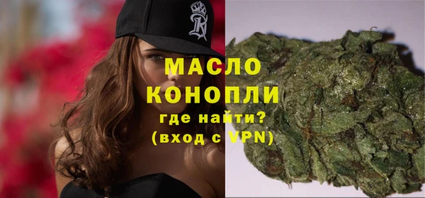 дживик Верхний Тагил