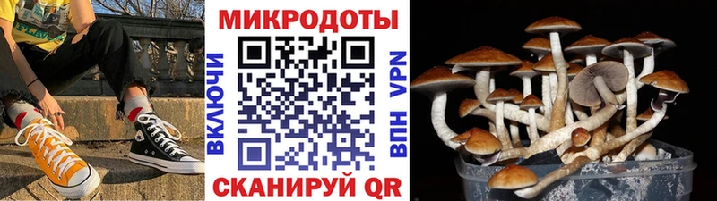 Галлюциногенные грибы GOLDEN TEACHER  Лысьва 