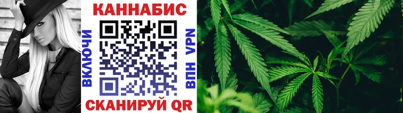 Бошки Шишки SATIVA & INDICA  KRAKEN ONION  Лысьва 